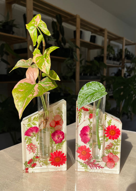 Floral Propagation Vases