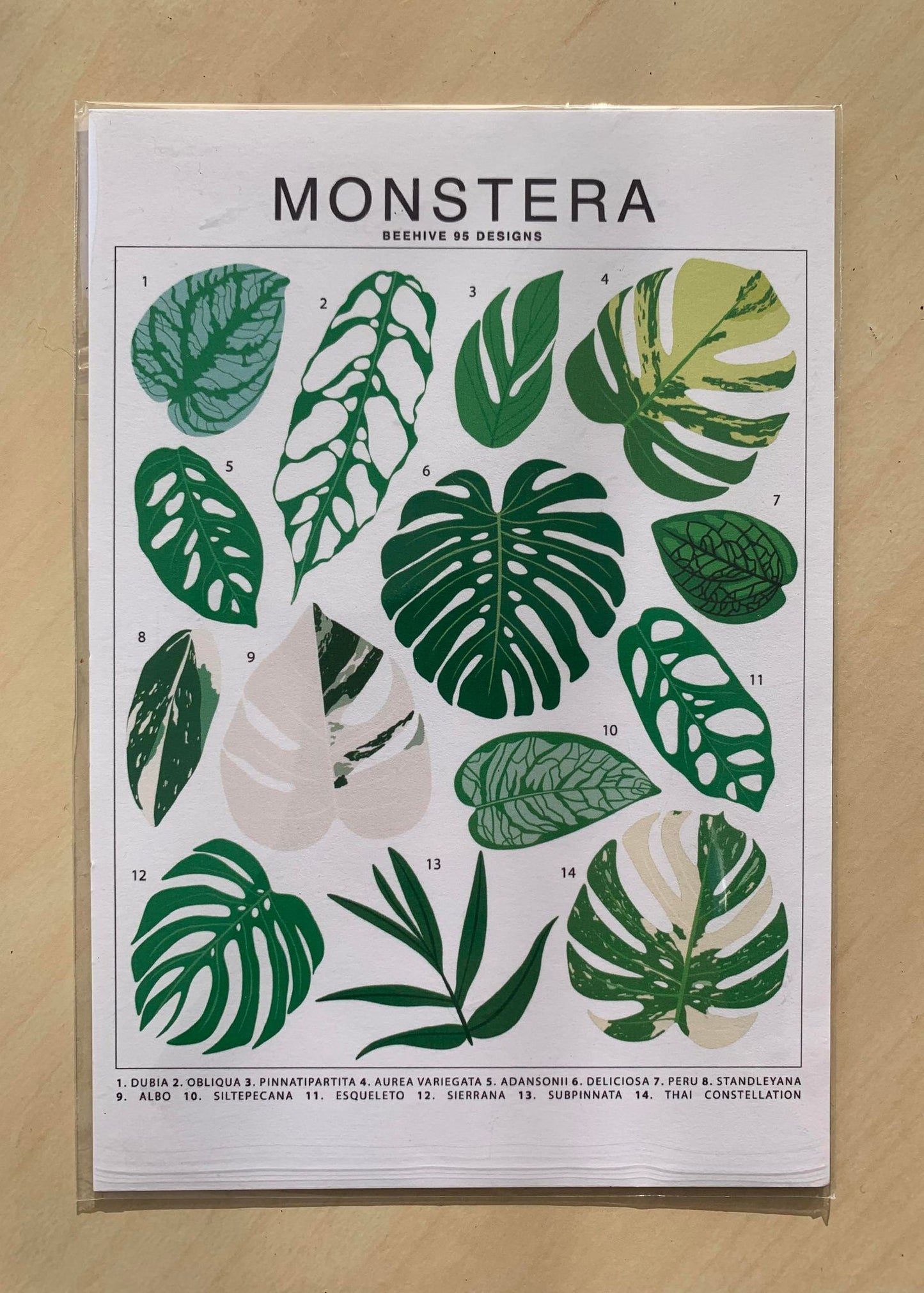Plant ID Posters Assorted 4x6