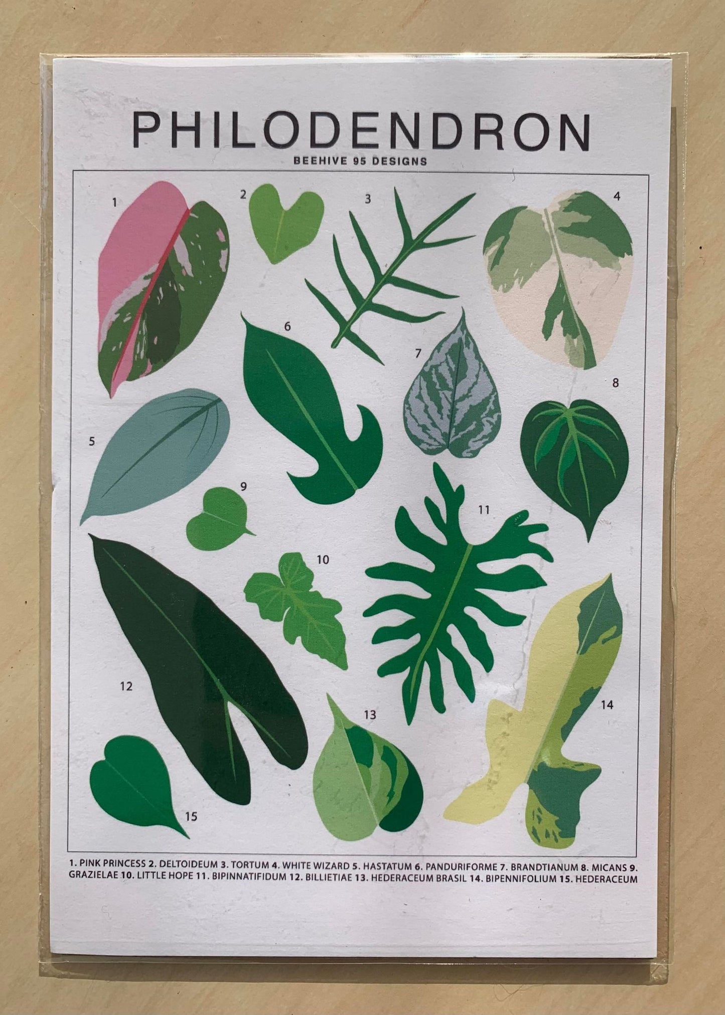 Plant ID Posters Assorted 4x6